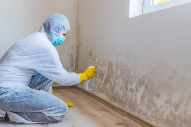 Mold inspector in Ronks performing thermal imaging