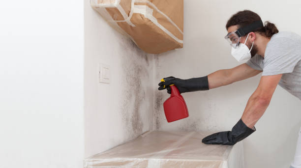 Basement Mold Remediation treatment on basement walls in Ronks